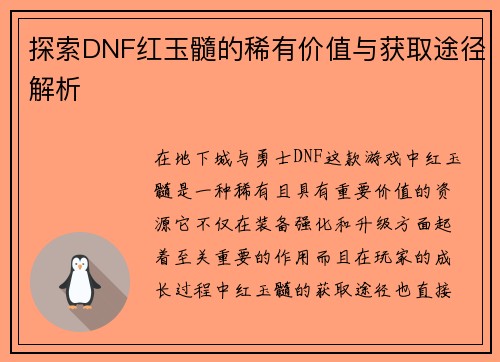 探索DNF红玉髓的稀有价值与获取途径解析